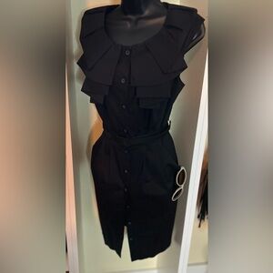 BCBG Button Front Ruffled Collar Dress